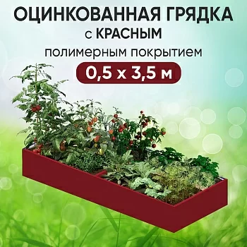 Грядка красная (0,5 х 3,5)