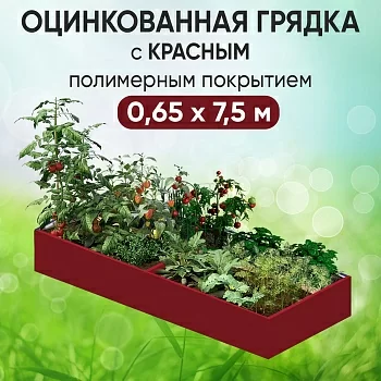 Грядка красная (0,65 х 7,5)