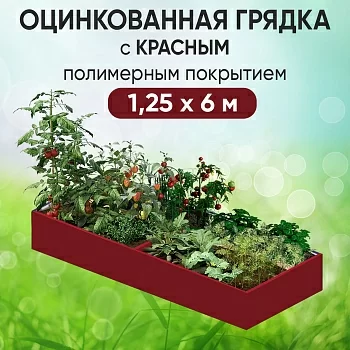 Грядка красная (1,25 х 6)